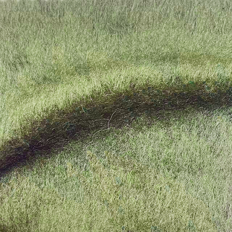 20人棉毛呢面料